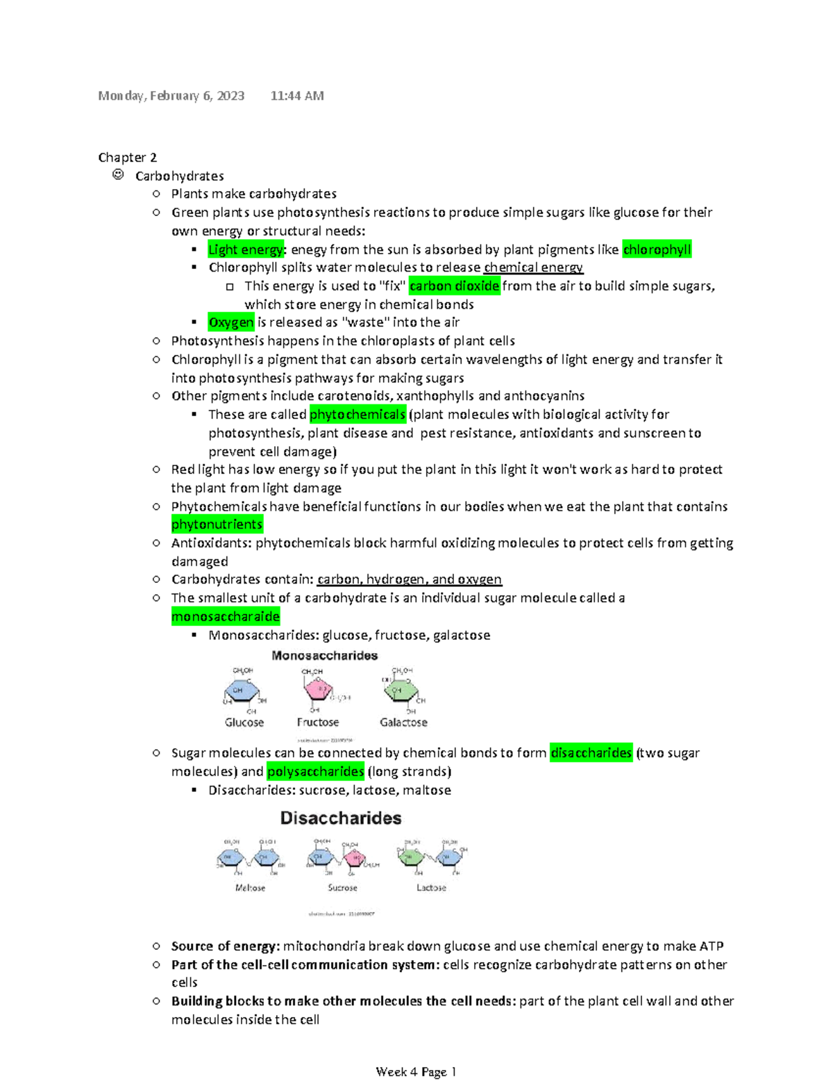 Lecture notes week 4 day 1 Chapter 2 Carbohydrates Plants make