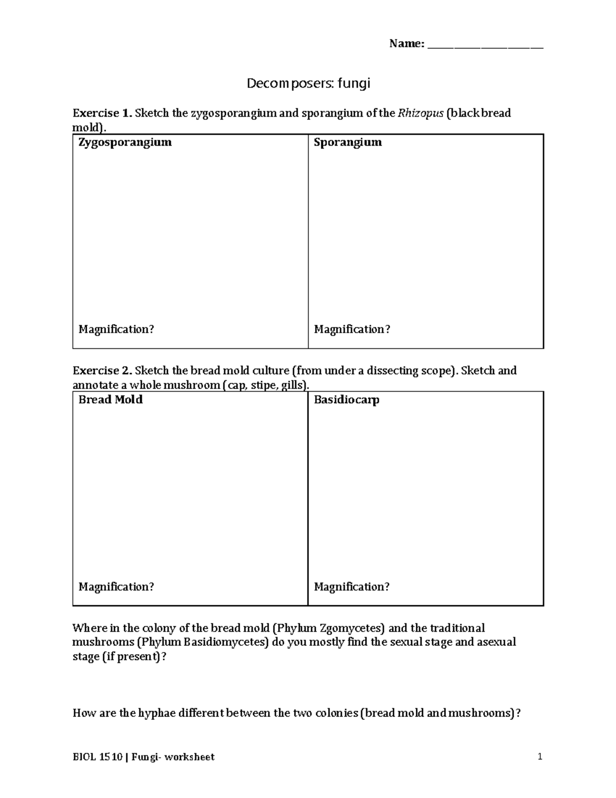 decomposers-worksheet-for-plants-and-reproduction-name