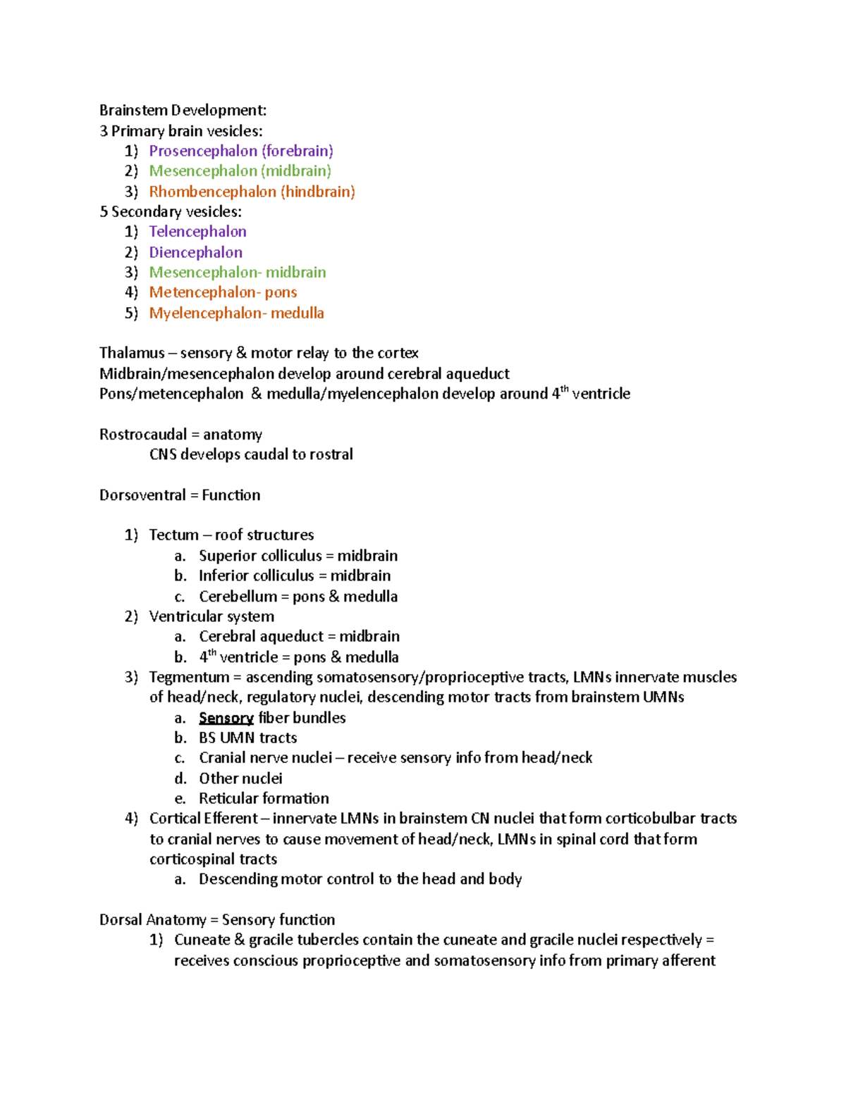 Brainstem Gross Anatomy Brainstem Development Primary Brain