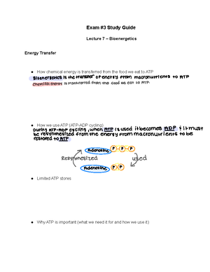Dance Study Guide - The art of Dance: Upper Paleolithic-Neolithic ...