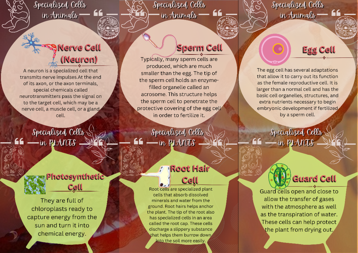 Copy cell modification 20231001 181930 0000 - Math grade 8 LM - Studocu
