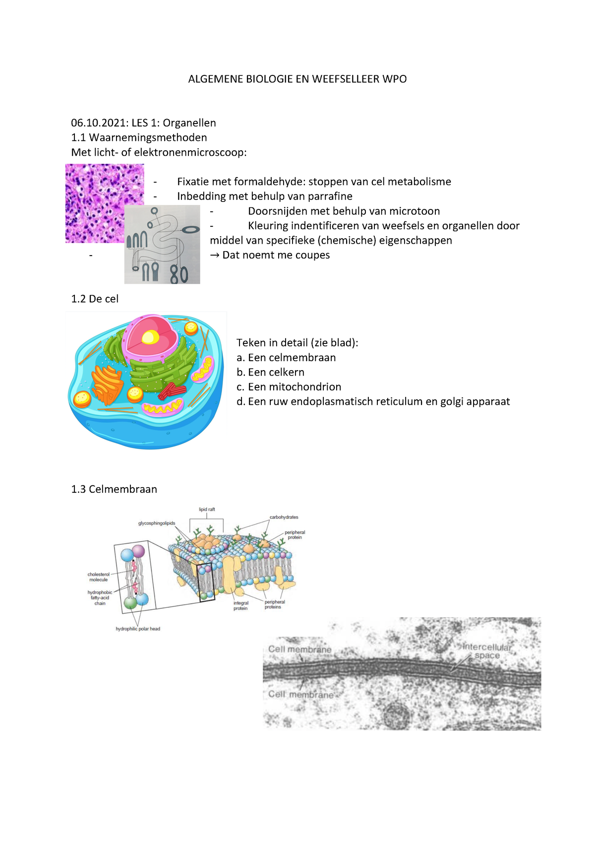 Synthese Algemene Biologie En Weefseleer WPO - ALGEMENE BIOLOGIE EN ...