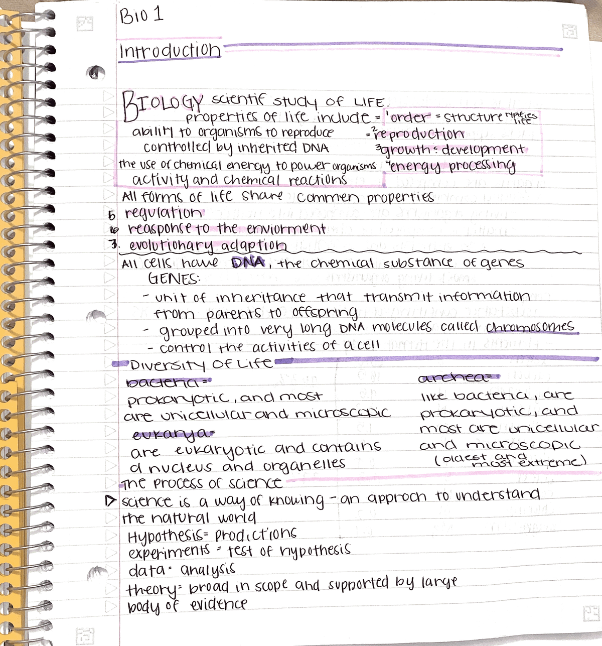 Introduction - Intro to Bio - MCB 181R - UArizona - Studocu