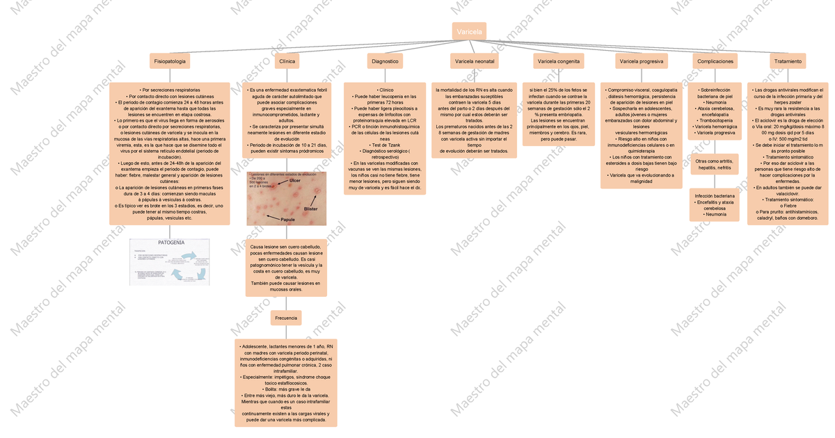 Varicela - infecto - Maestro del mapa mental Maestro del mapa mental  Maestro del mapa mental Maestro - Studocu