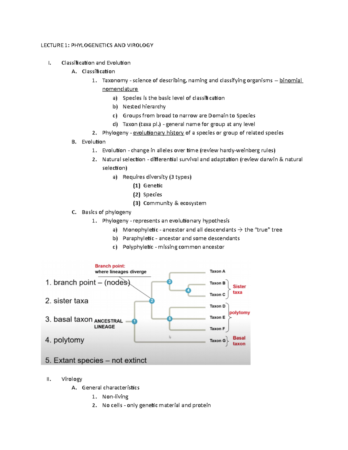 Gen Bio II: ALL Lecture Notes - LECTURE 1: PHYLOGENETICS AND VIROLOGY I ...