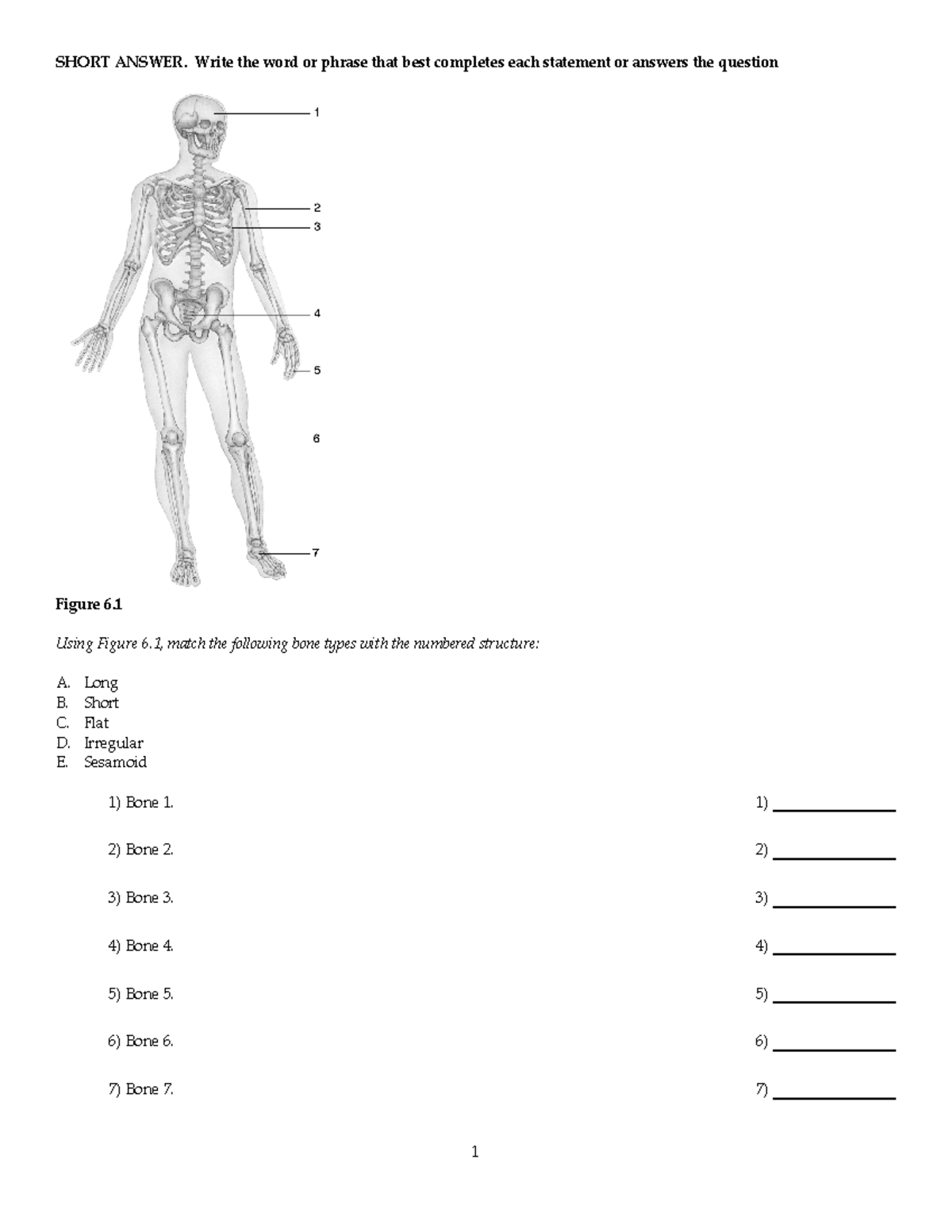 chapter-6-test-bank-short-answer-write-the-word-or-phrase-that-best