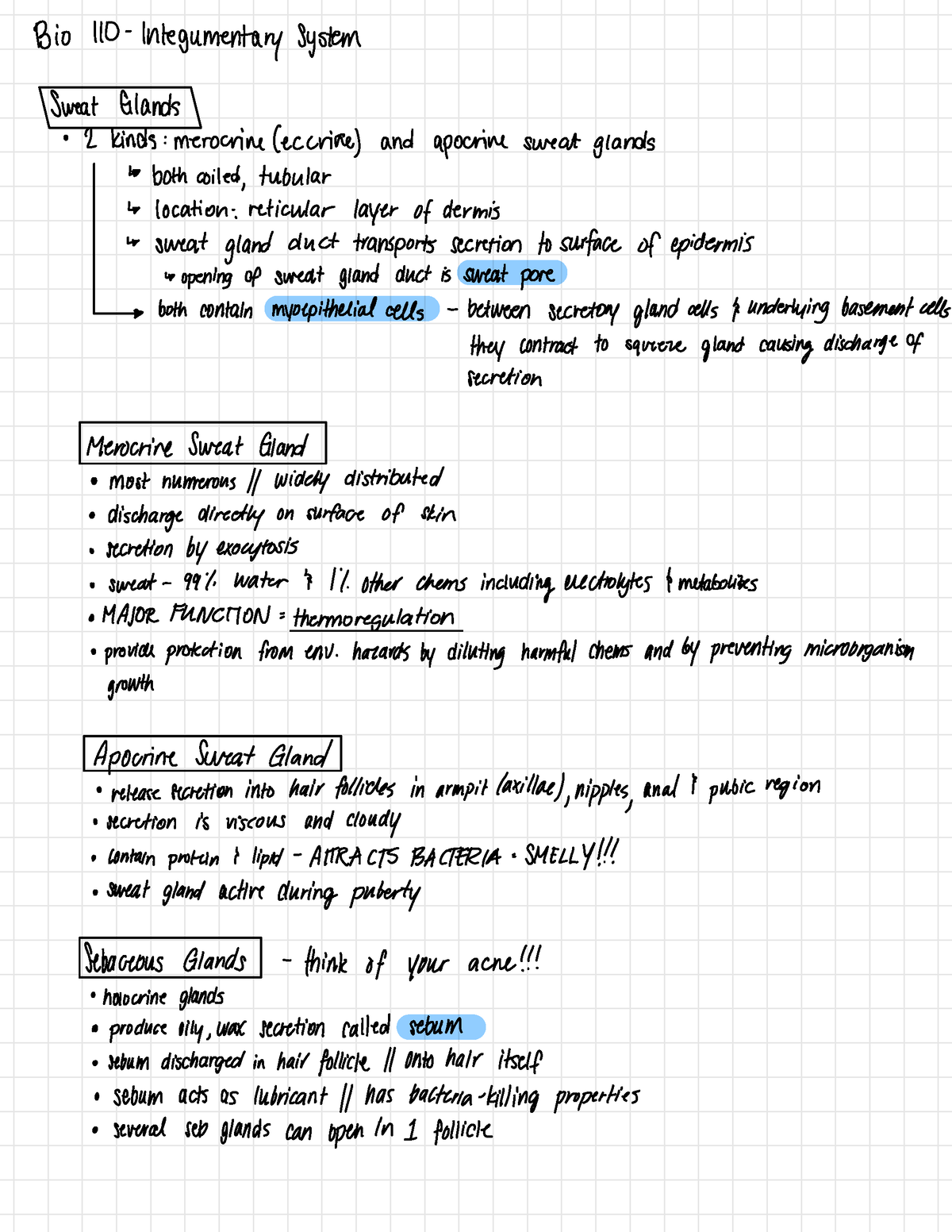 Biol 110 Review I - BIOL 110 Anatomy And Physiology - Bio 110 ...