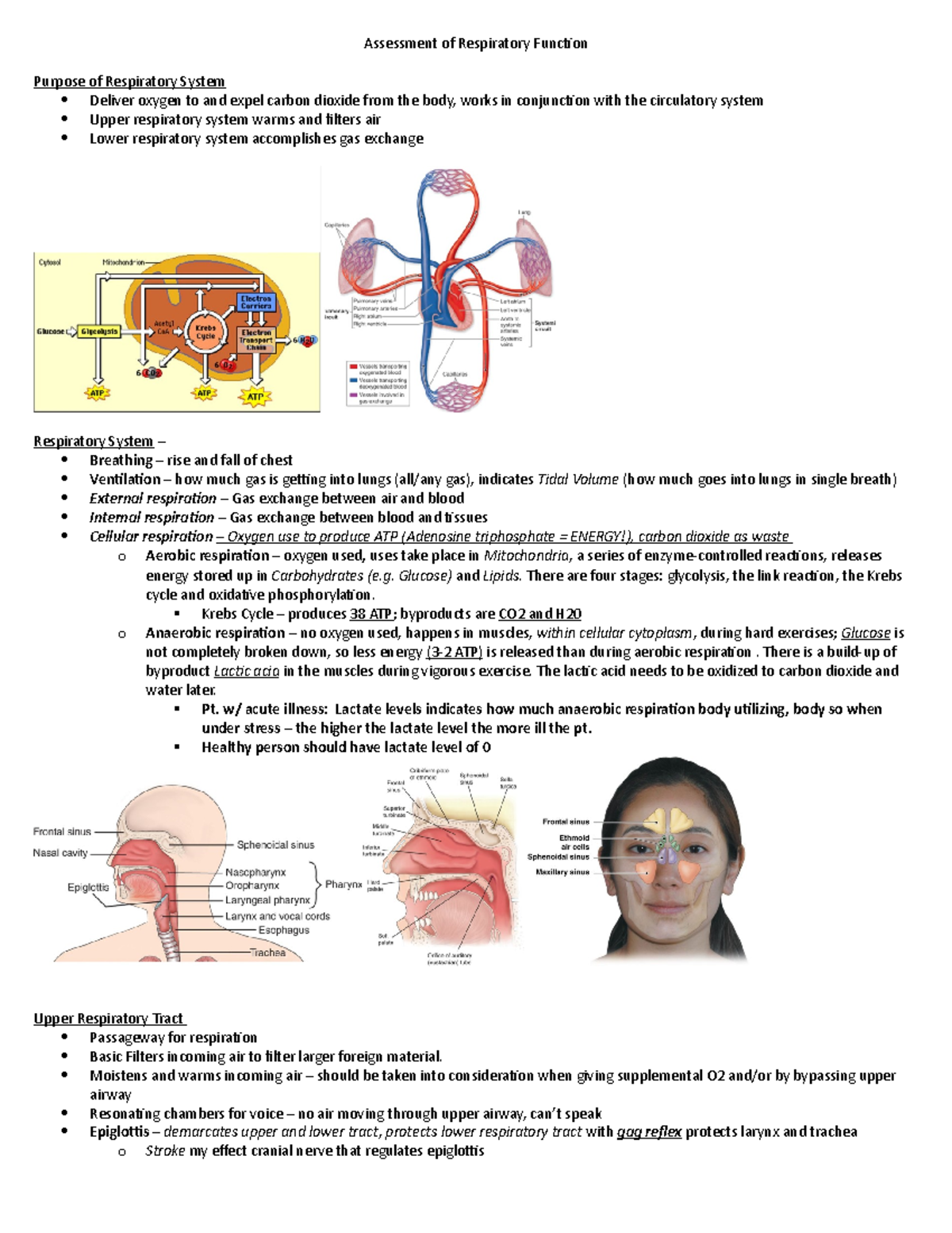 Assessment Of Respiratory Function - Assessment Of Respiratory Function ...