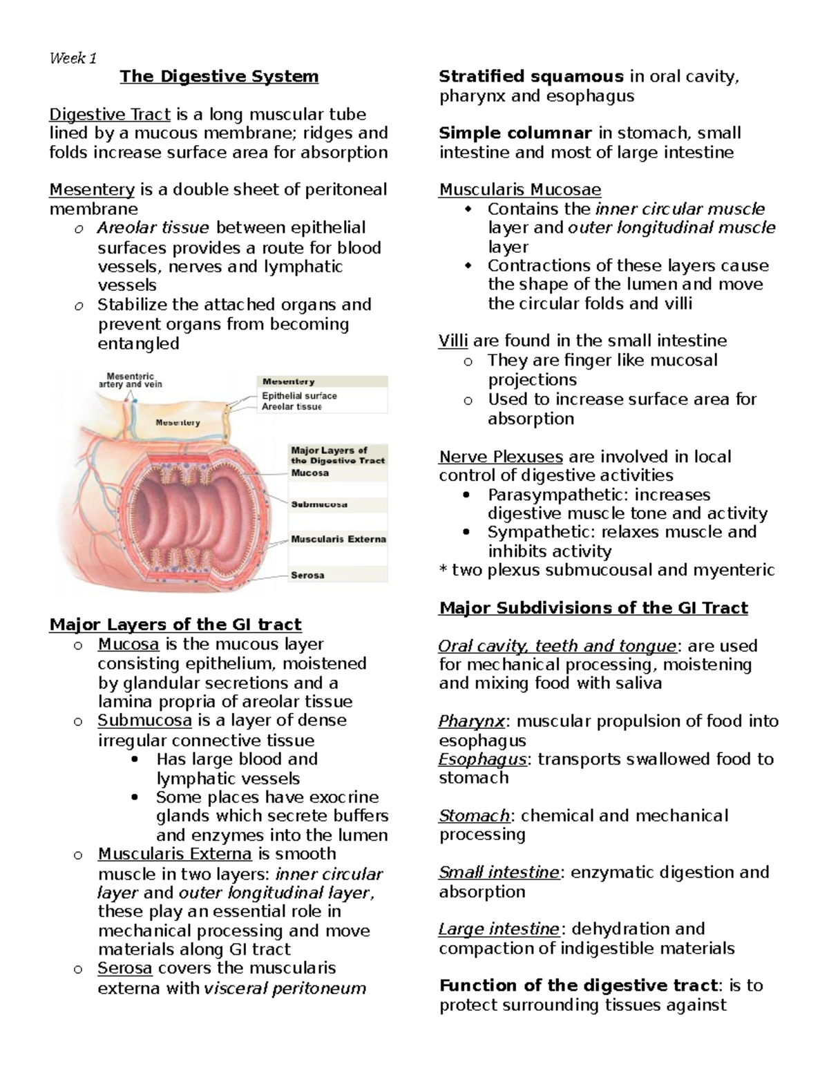 The Digestive System (Week 1&2) - Week 1 The Digestive System Digestive ...