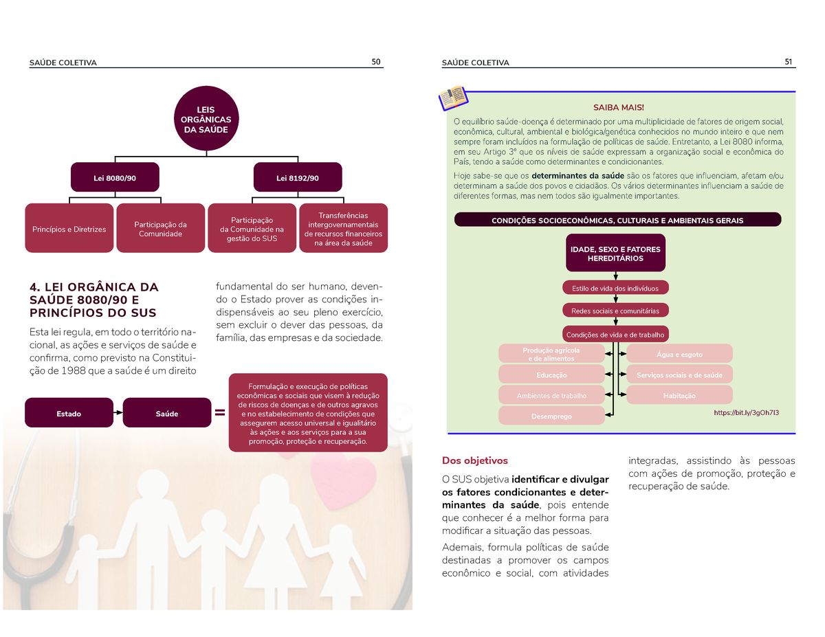 Iesc Resumo Leis Sanar 4 Lei OrgÂnica Da SaÚde 808090 E PrincÍpios Do Sus Esta Lei Regula