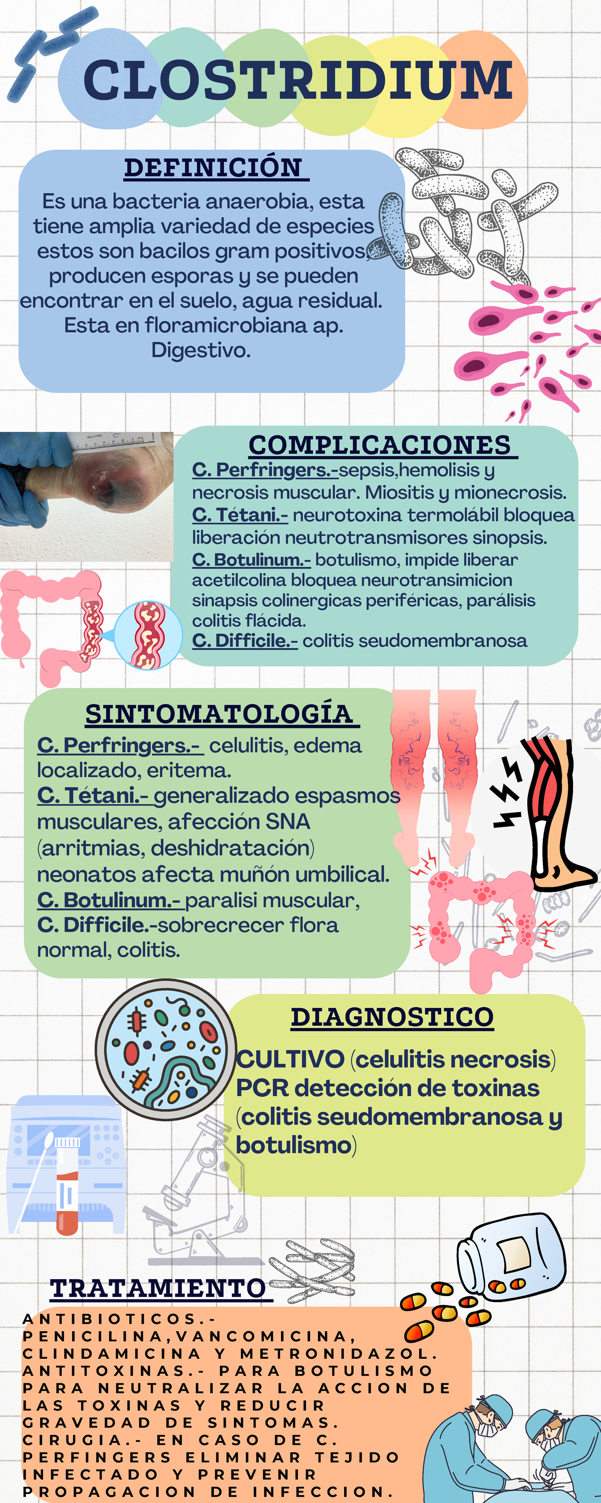 Patología clostridium - CULTIVO (celulitis necrosis) PCR detección de ...