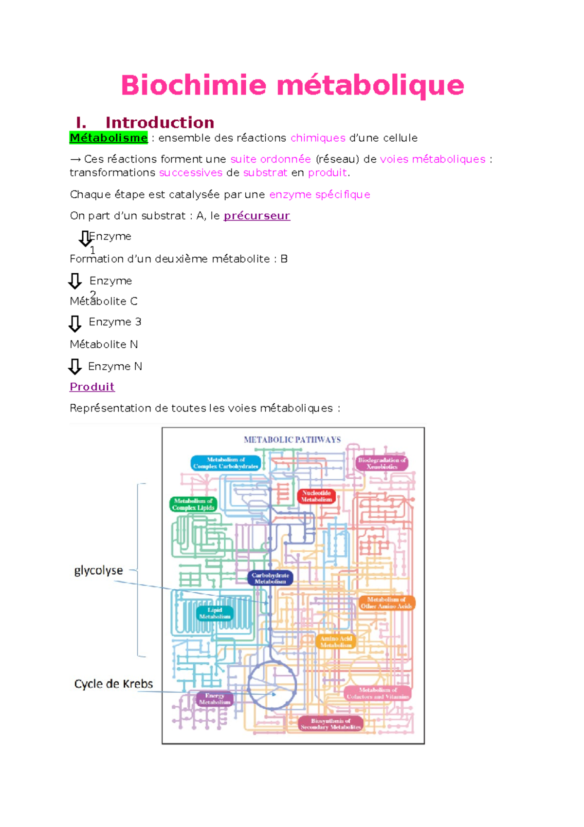 Biochimie Métabolique H.Mazon - Biochimie Métabolique I. Introduction ...