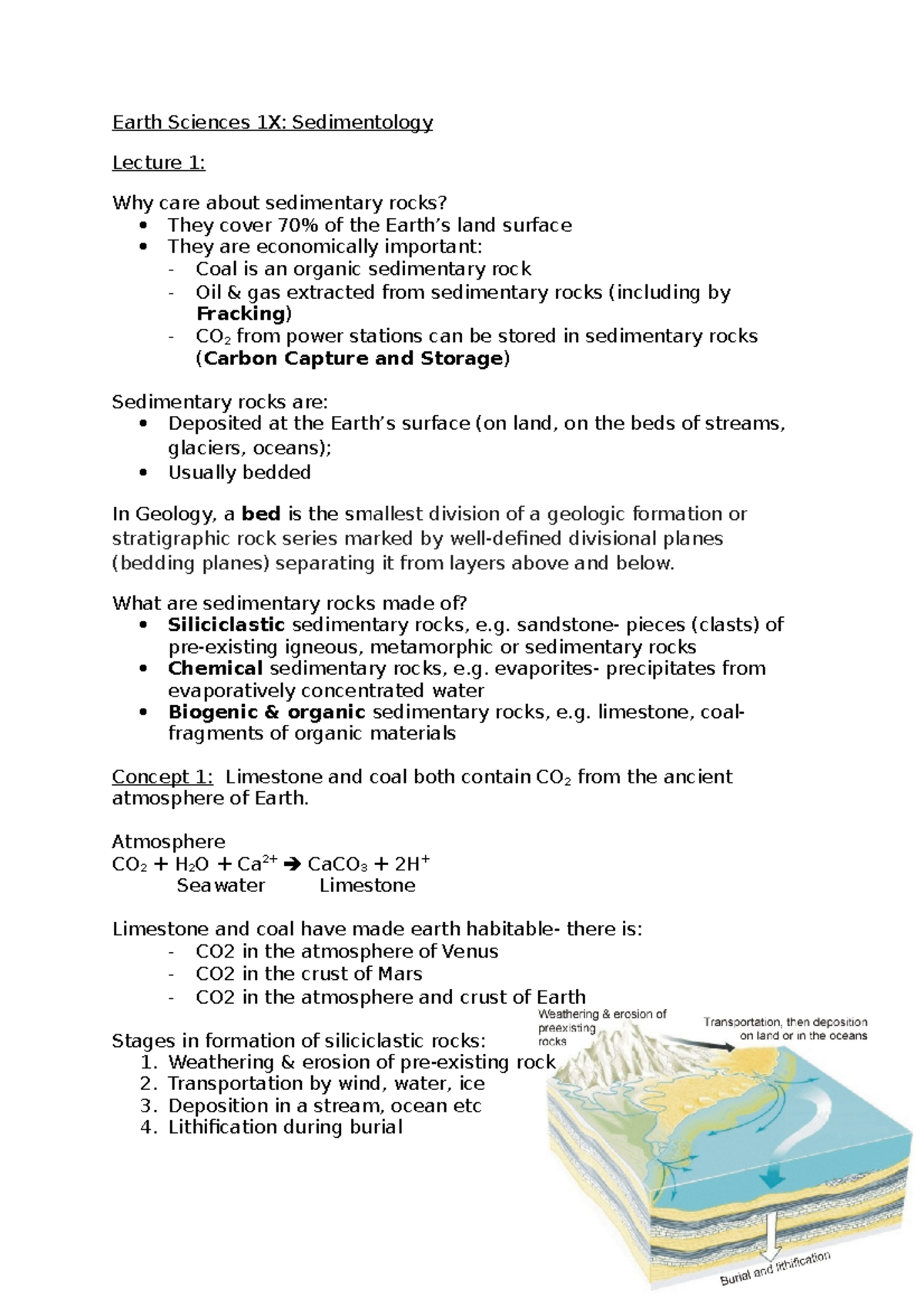 Sedimentology Lecture: Importance Of Sedimentary Rocks - Studocu