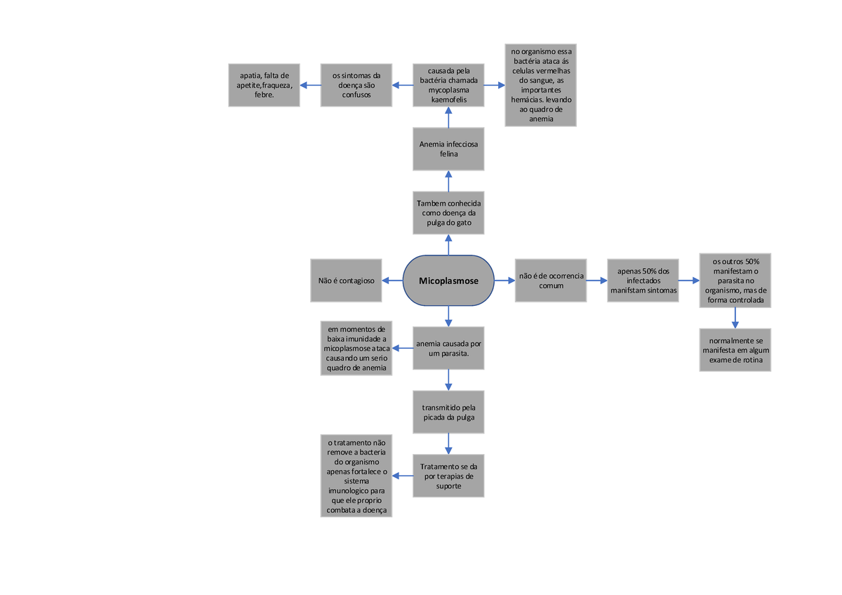 Micoplasmose - mapa mental - Micoplasmose Tambem conhecida como doença da  pulga do gato Anemia - Studocu