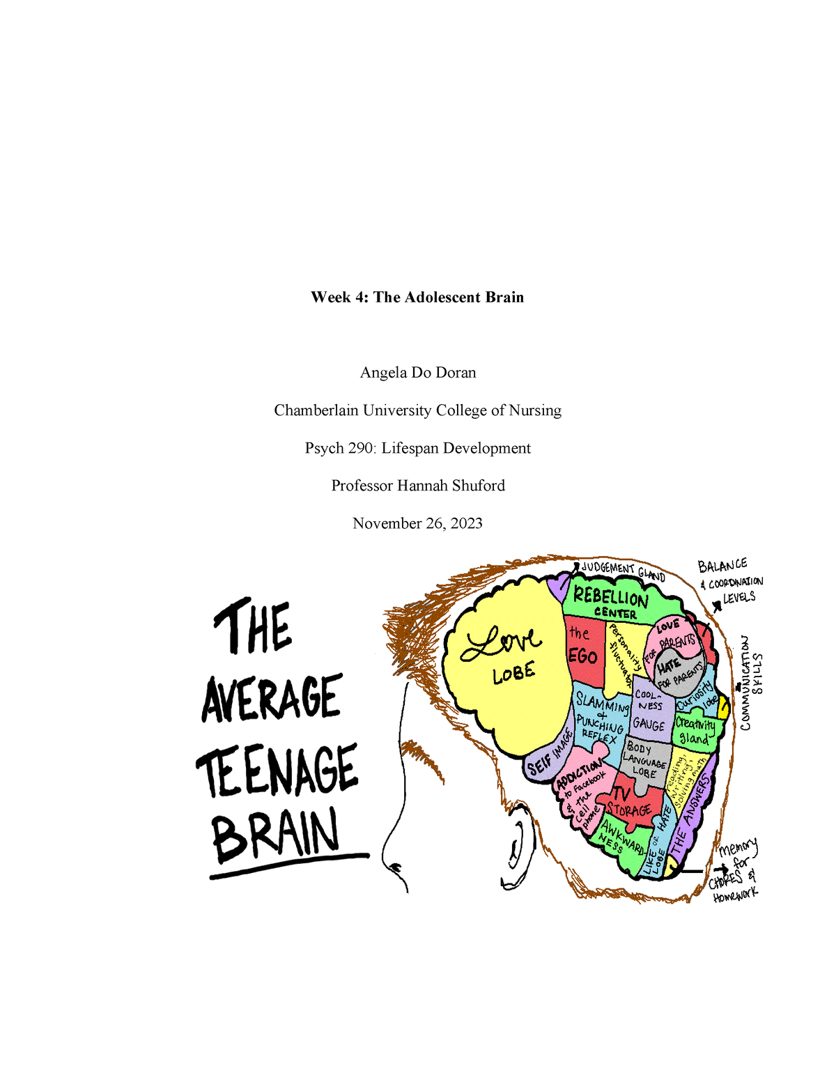 Psych 290 Lifespan Development Week 4 Adolescent Brain Workshop Handout ...