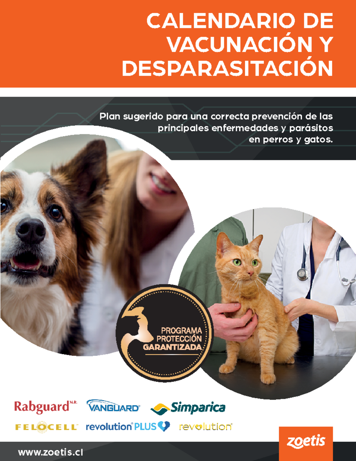 calendario-perros-y-gatos-zoetis-chile-webmm-18753-calendario-de
