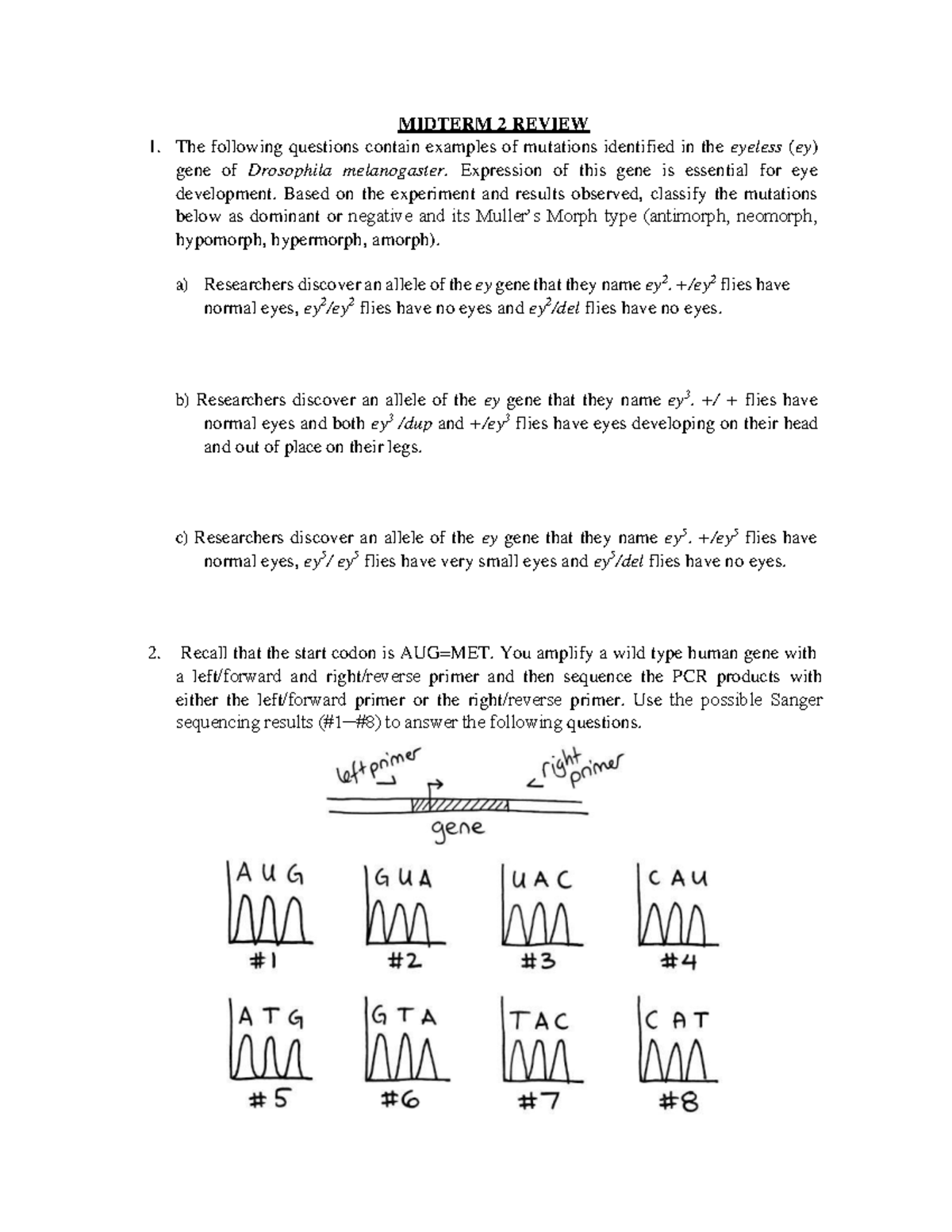 Midterm 2 Review - Practice Questions 207 - MIDTERM 2 REVIEW The ...