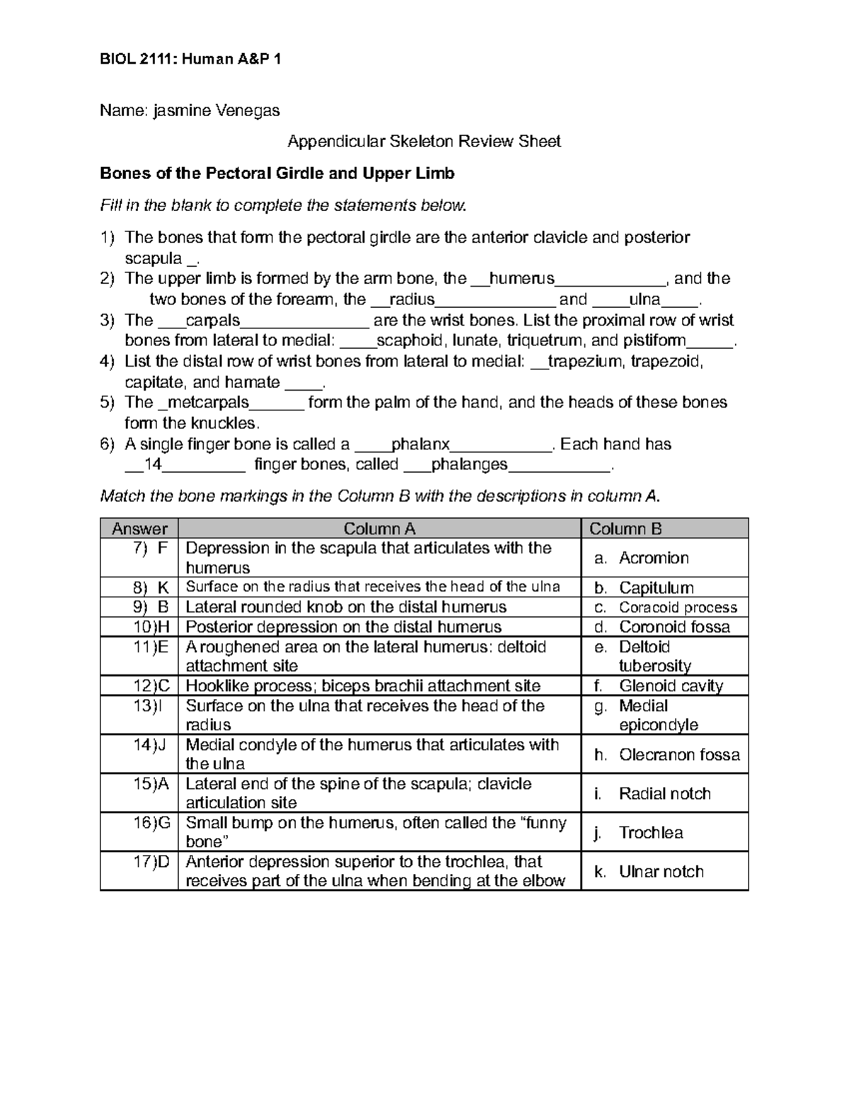 Sheet - Name: jasmine Venegas Appendicular Skeleton Review Sheet Bones ...