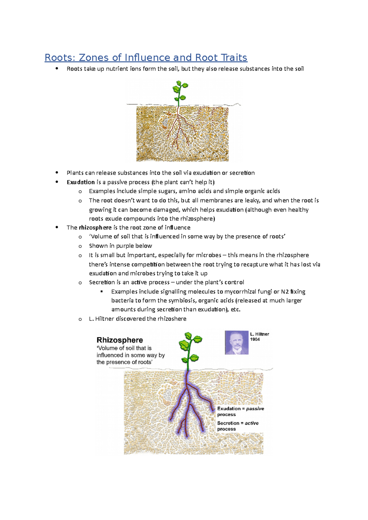 Roots(11) Spring week 3 Roots Zones of Influence and Root Traits