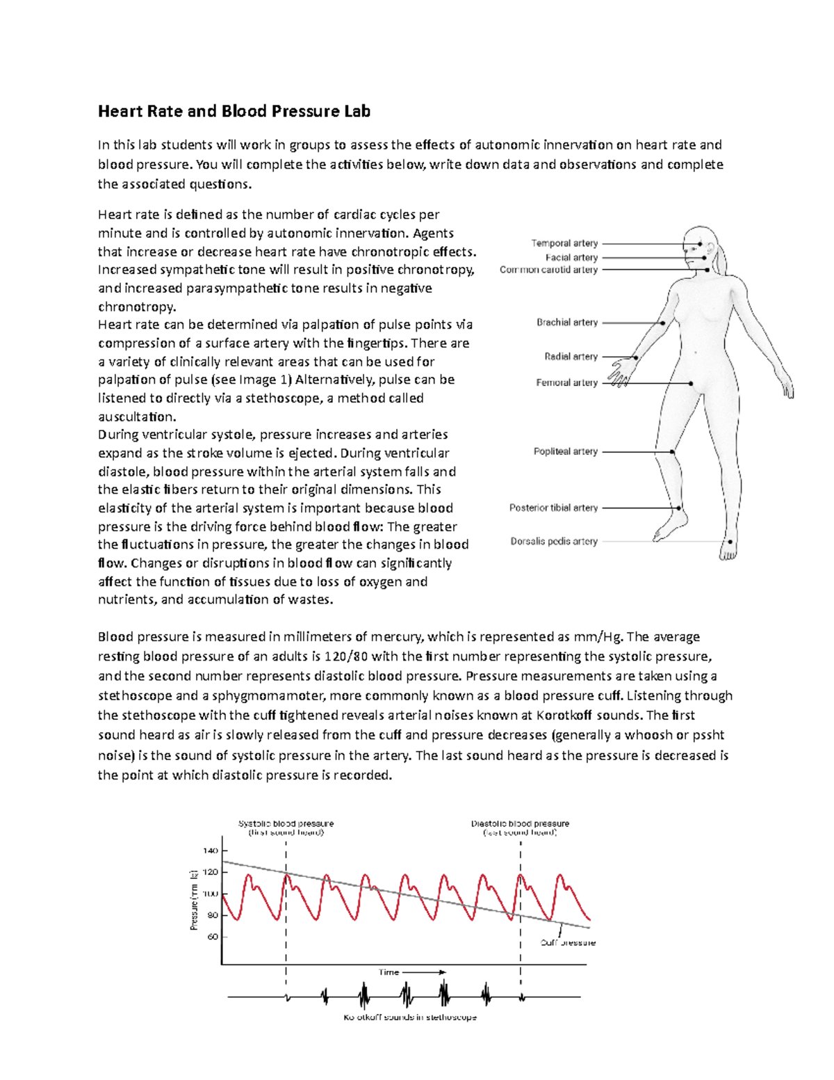 bio-211l-rs-activity-2heart-rate-and-blood-pressure-lab-heart-rate