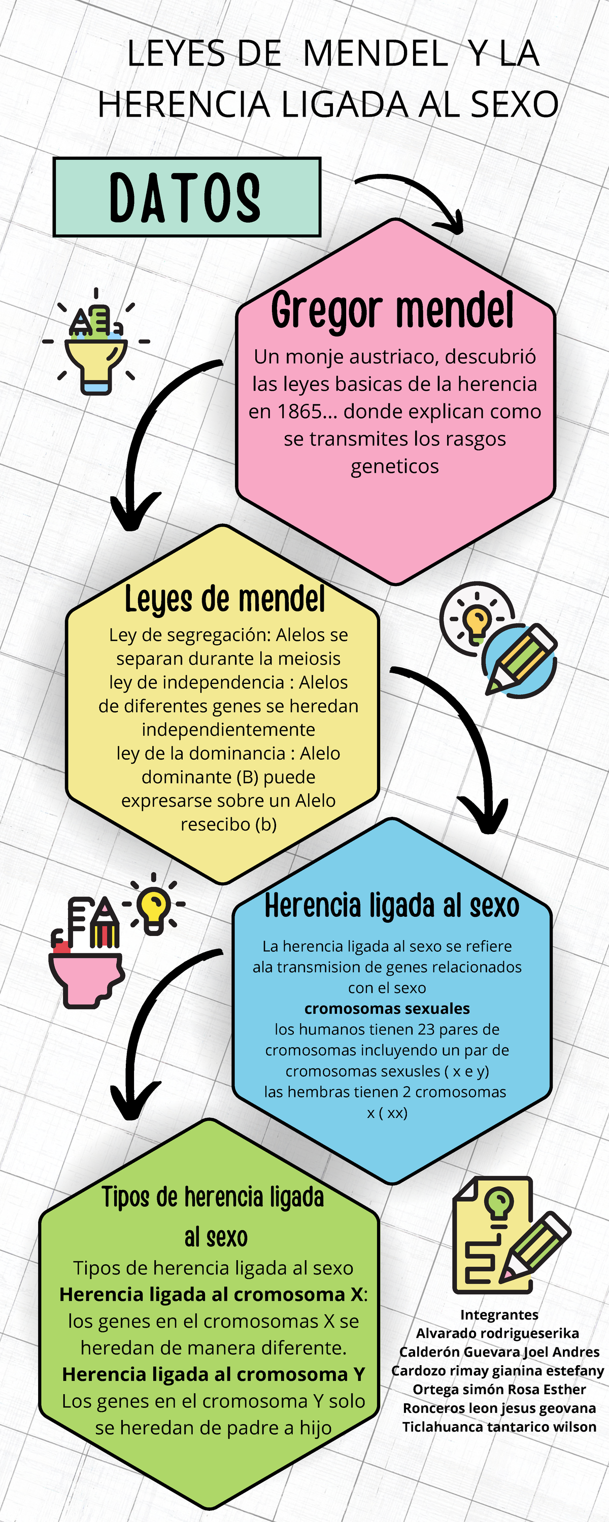 Infografia Grafico Proceso Pasos Orden Doodle Multicolor Leyes De Mendel