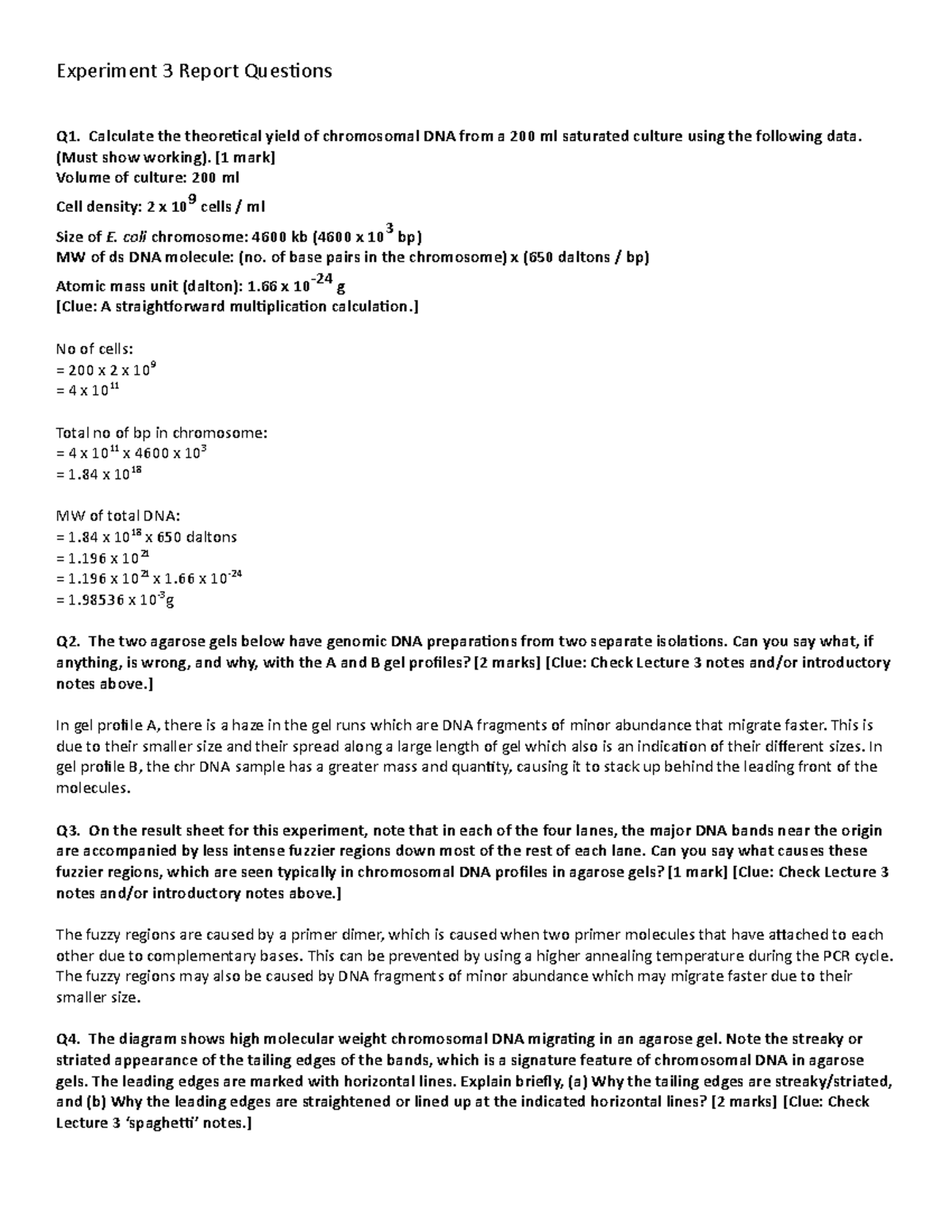 Experiment 3 lab practical Report Questions - Experiment 3 Report ...