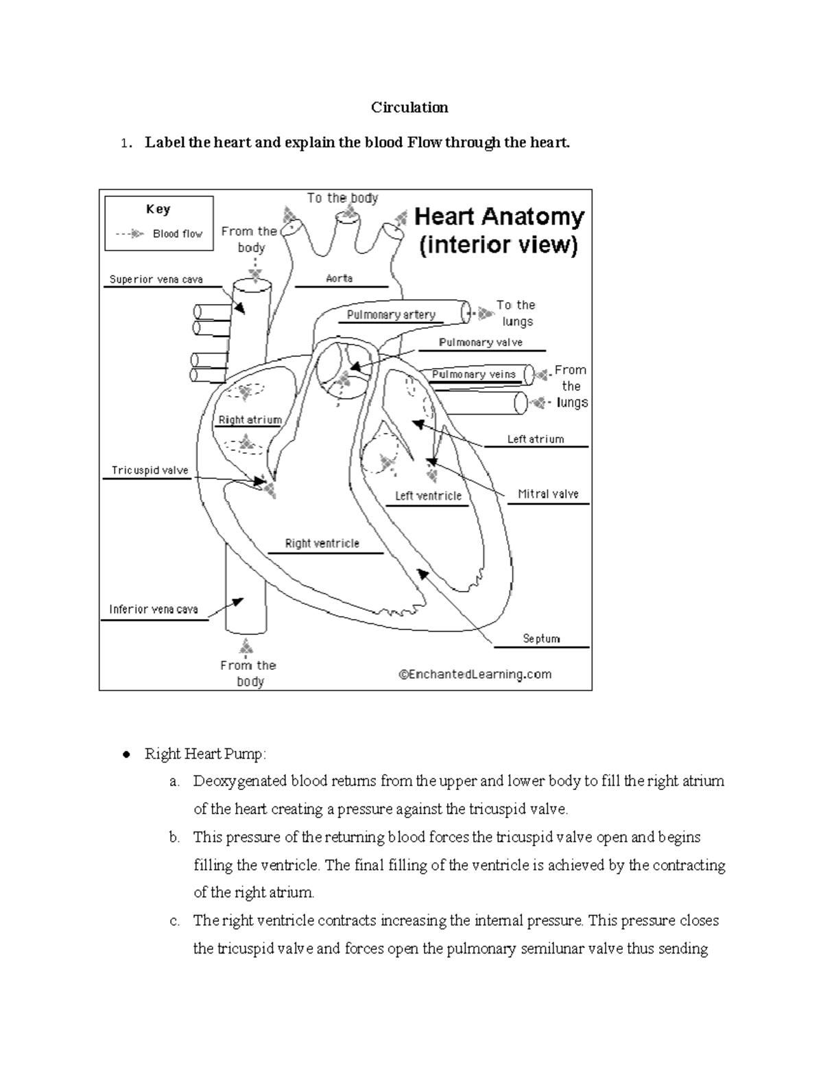 Black Board Circulation Hw - Circulation Label The Heart And Explain 