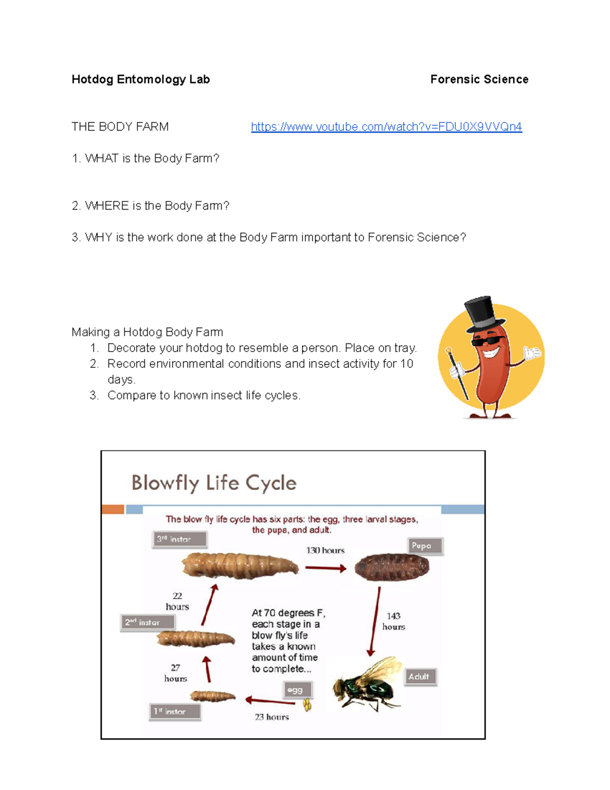 Copy of Hotdog Body Farm Lab - Hotdog Entomology Lab Forensic Science ...