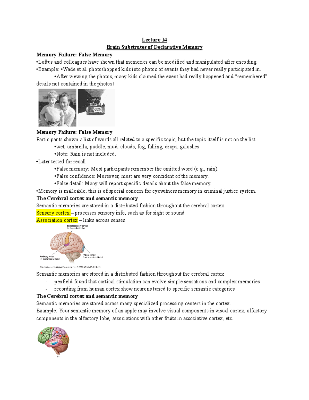 Brain Substrates of Declarative Memory - Deprecated API usage: The SVG