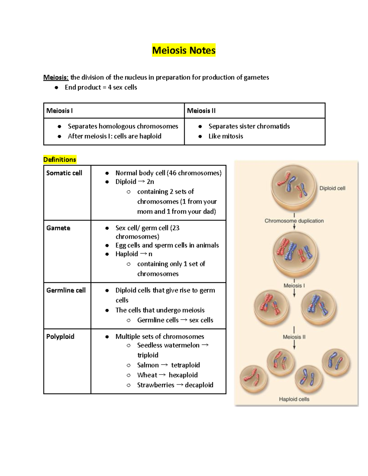 Module 9 Meiosis Notes - Meiosis Notes Meiosis +:+ the division of the ...