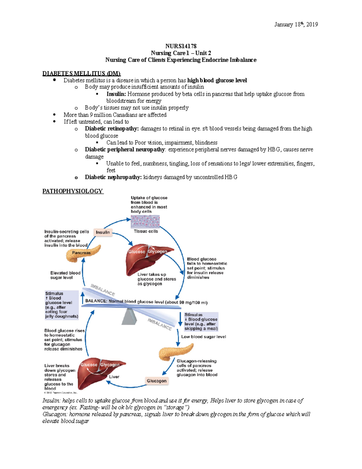 NURS14178- WEEK 2 - Lecture notes 2 - NURS Nursing Care 1 – Unit 2 ...