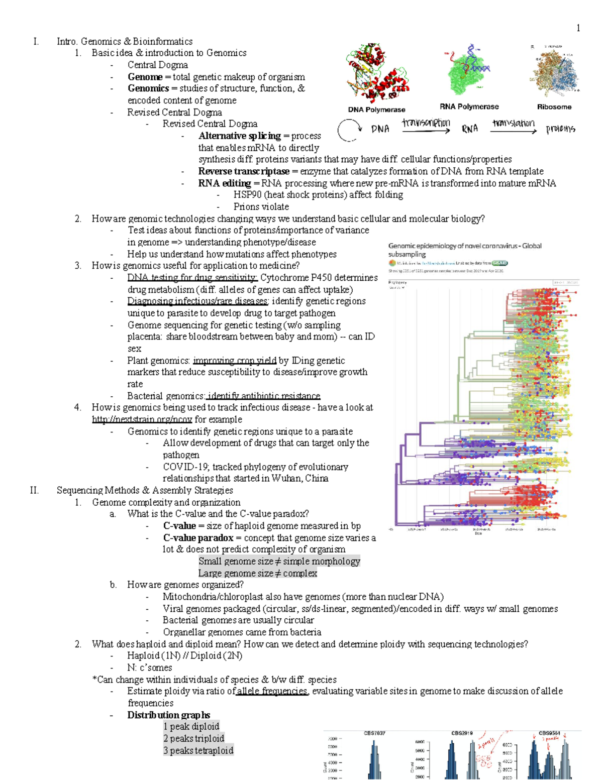 BIOL119 - Key Concepts - I. Intro. Genomics & Bioinformatics 1. Basic ...