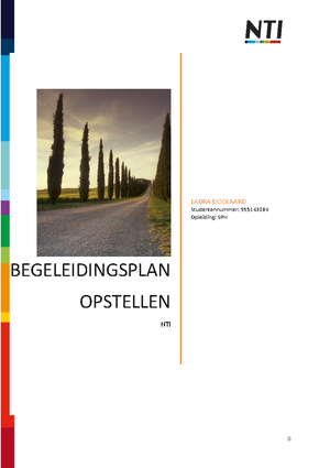 Paper Begeleidingsplan opstellen Alleen Lezen - Voorblad paper Dit