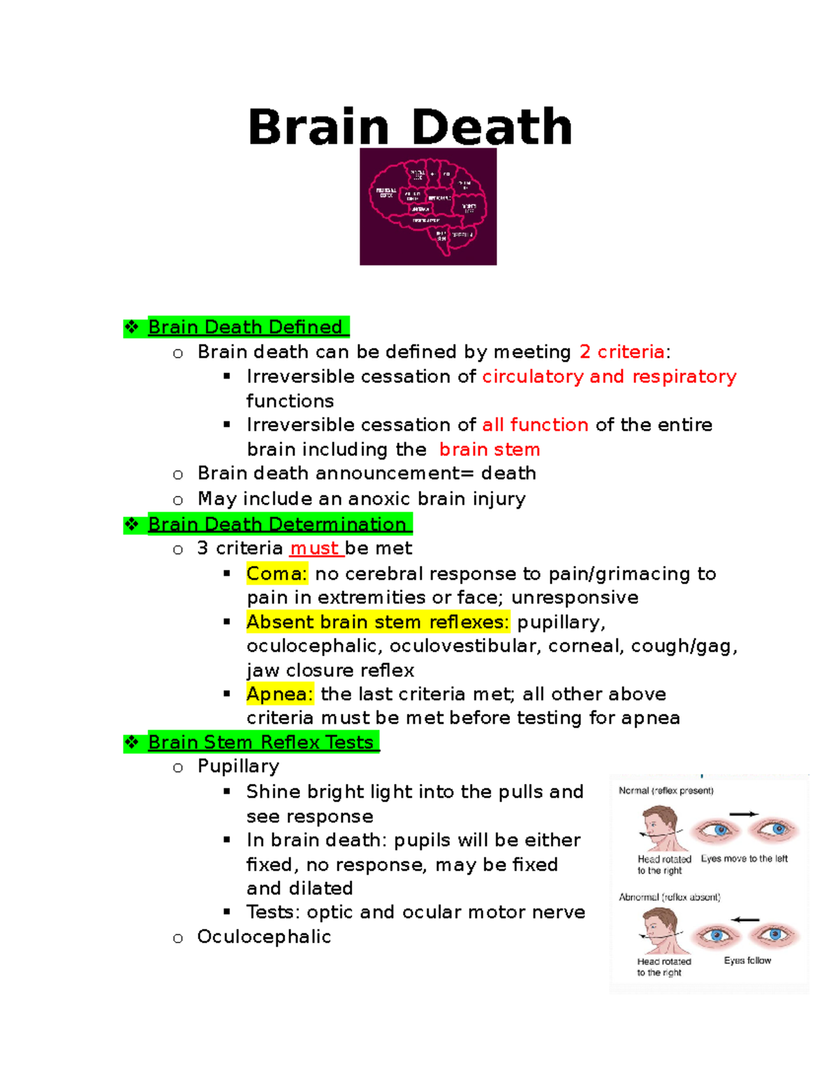 Brain Death - Studocu