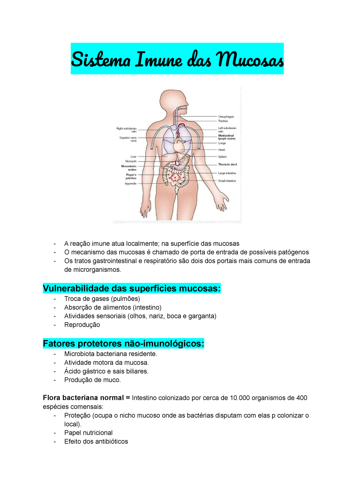 Sistema Imune das Mucosas Sistem Imun da Mucsa A reação imune atua localmente na superfície