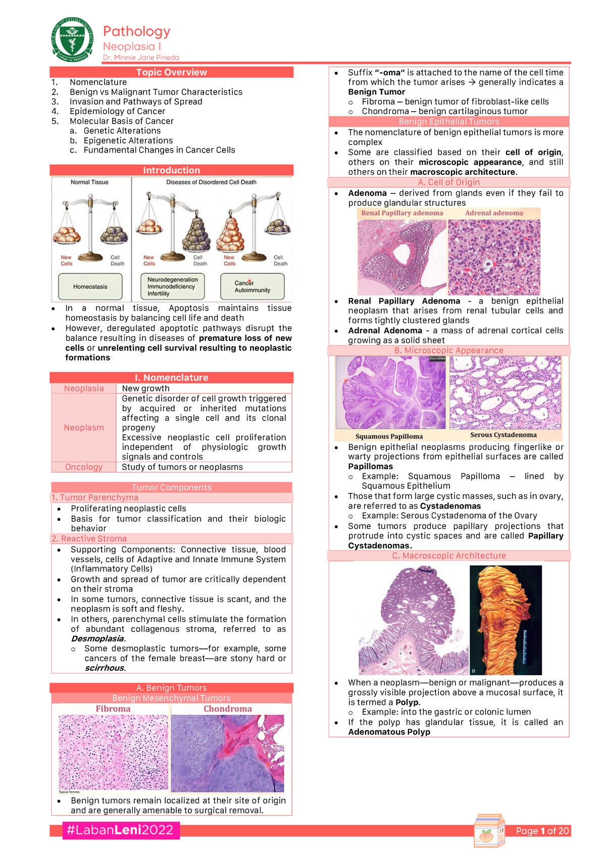 Neoplasia - Histopathology pathology - Topic Overview Nomenclature ...