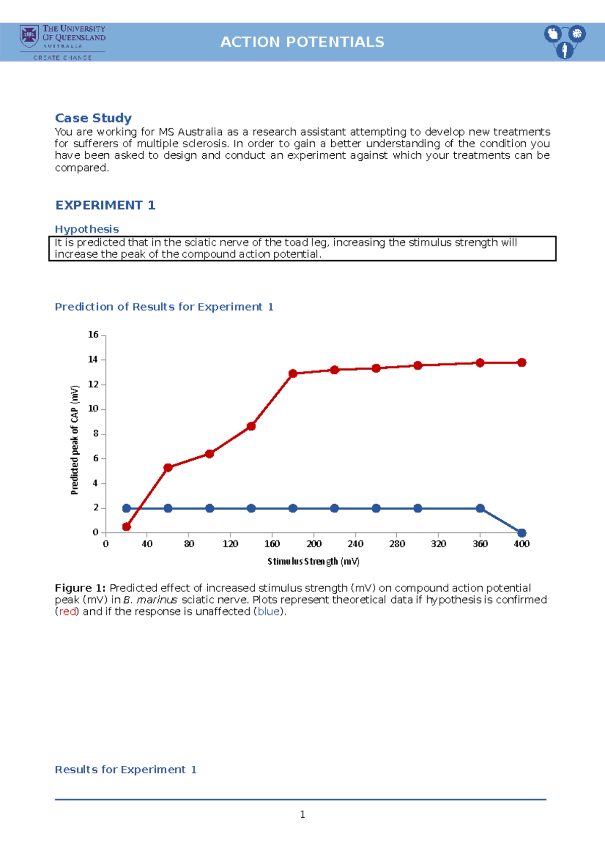 AP Report Template - Case Study You are working for MS Australia as a ...