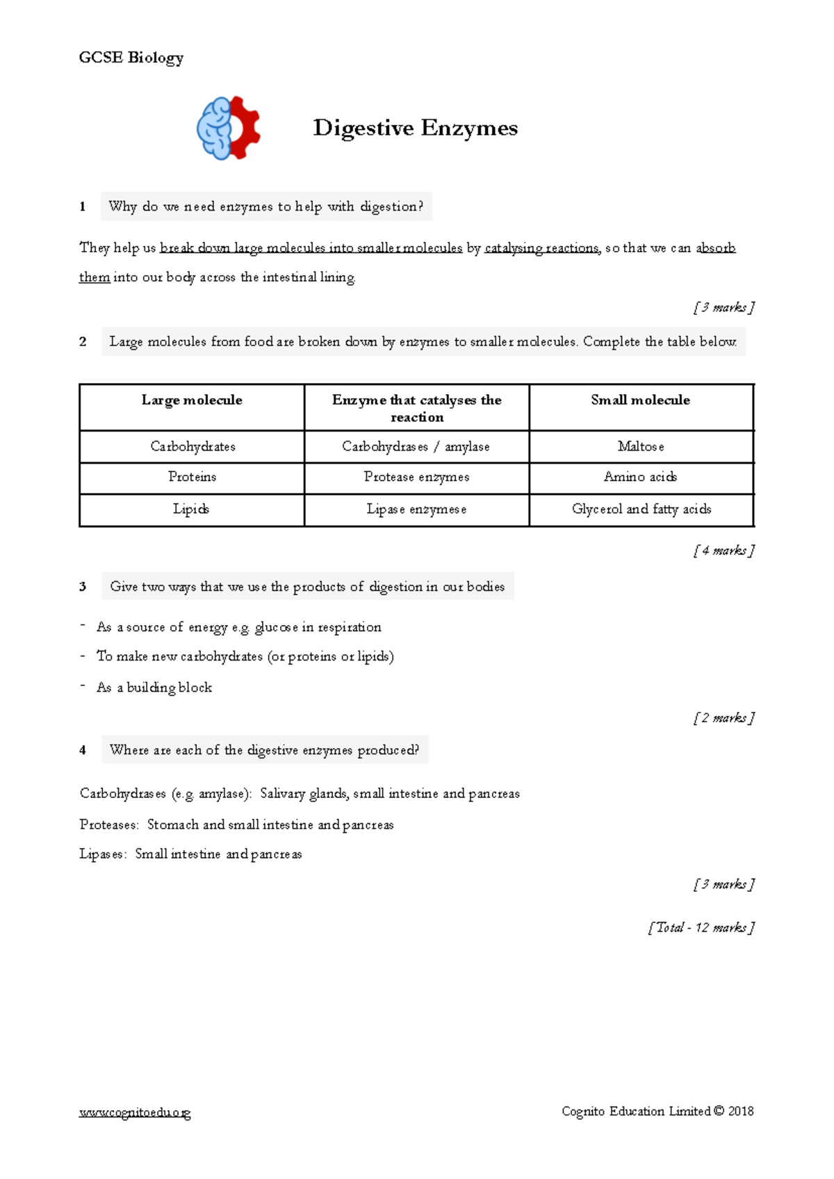 GCSE Biology Digestive Enzymes Worksheet Answers GCSE Biology Digestive Enzymes 1 Why do we