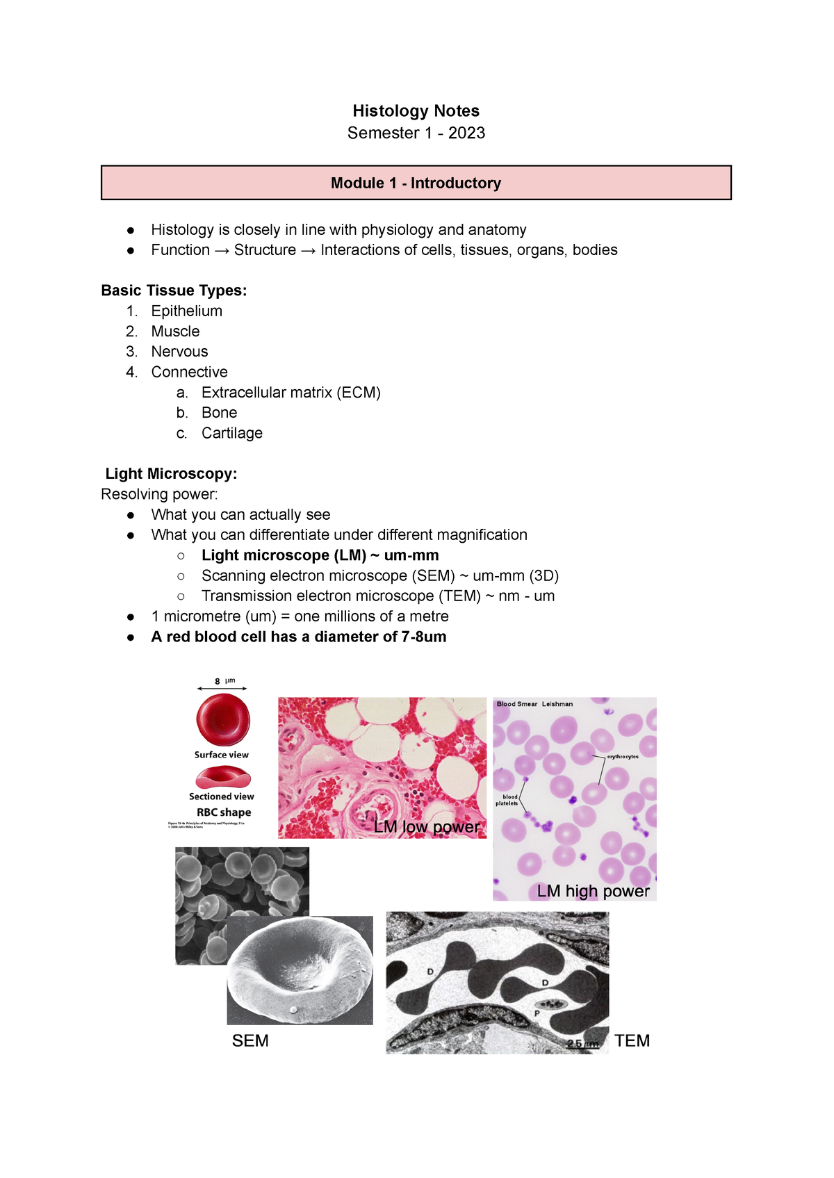 Histology Module 1-3 - Histology Notes Semester 1 - 2023 Module 1 ...