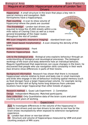 A- Level Psychology Biological Area Notes Casey - Biological Area ...