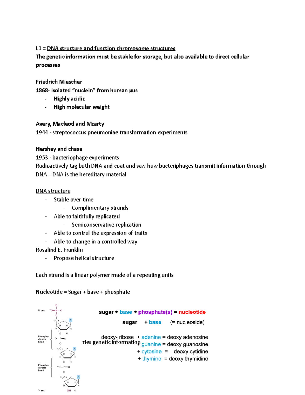 bio-1334-genetics-lecture-notes-l1-dna-structure-and-function