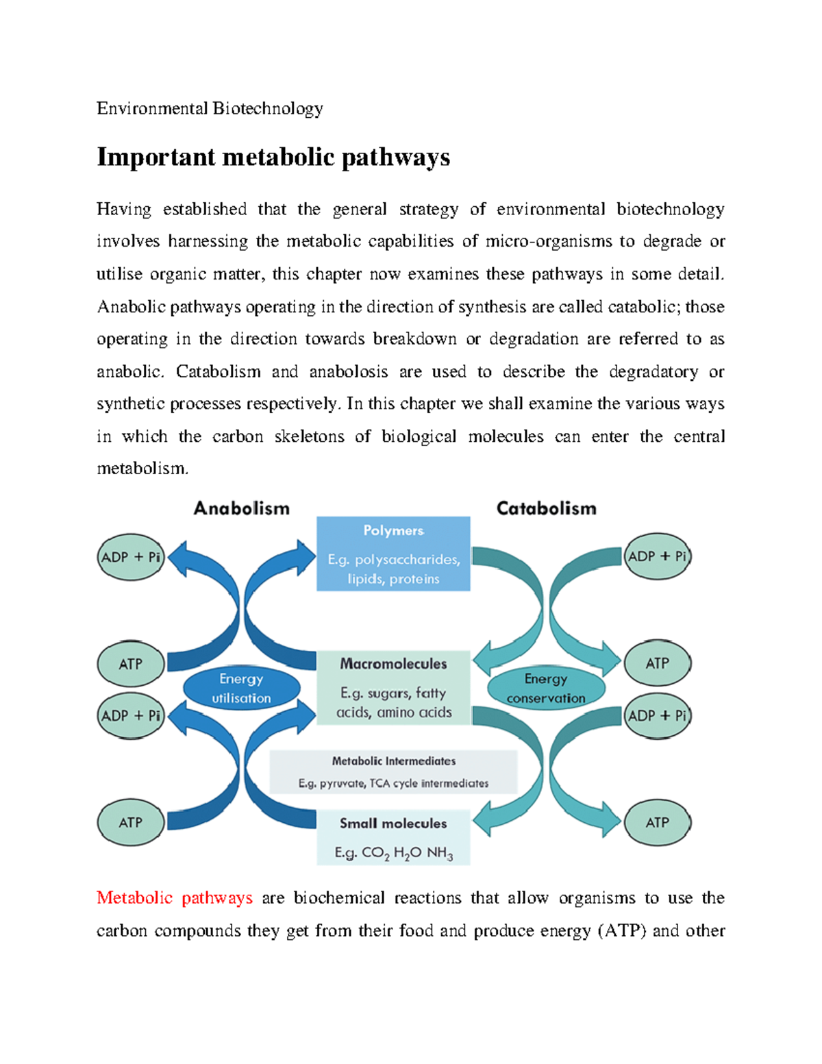 Important metabolic pathways - Environmental Biotechnology Important ...