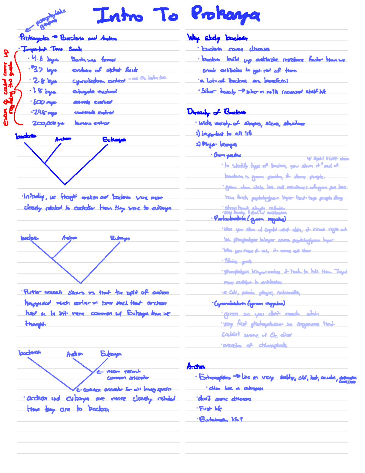 Introduction into prokarya - parent 
