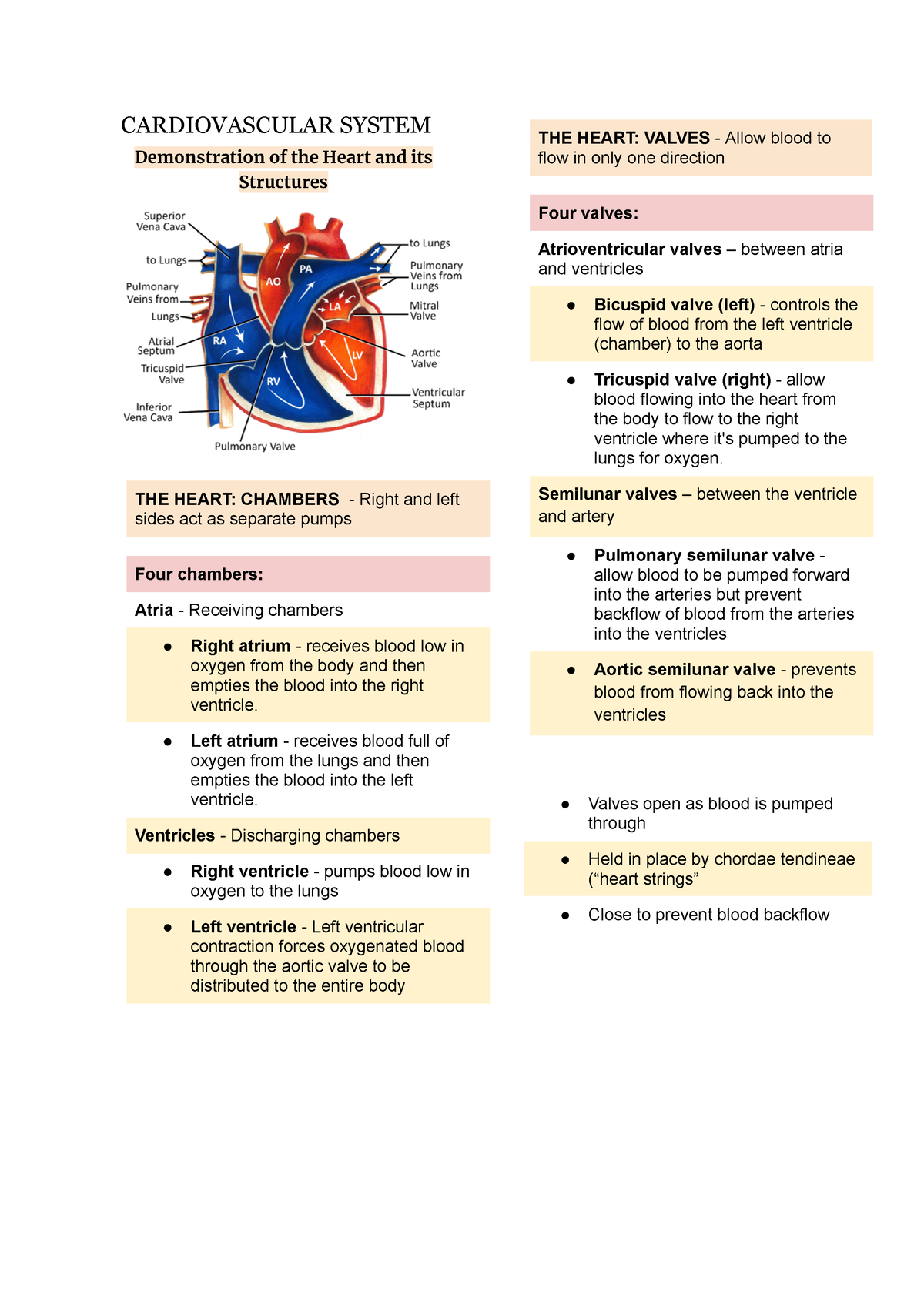 HAPP111 Finals - Reviewer - CARDIOVASCULAR SYSTEM Demonstration Of The ...