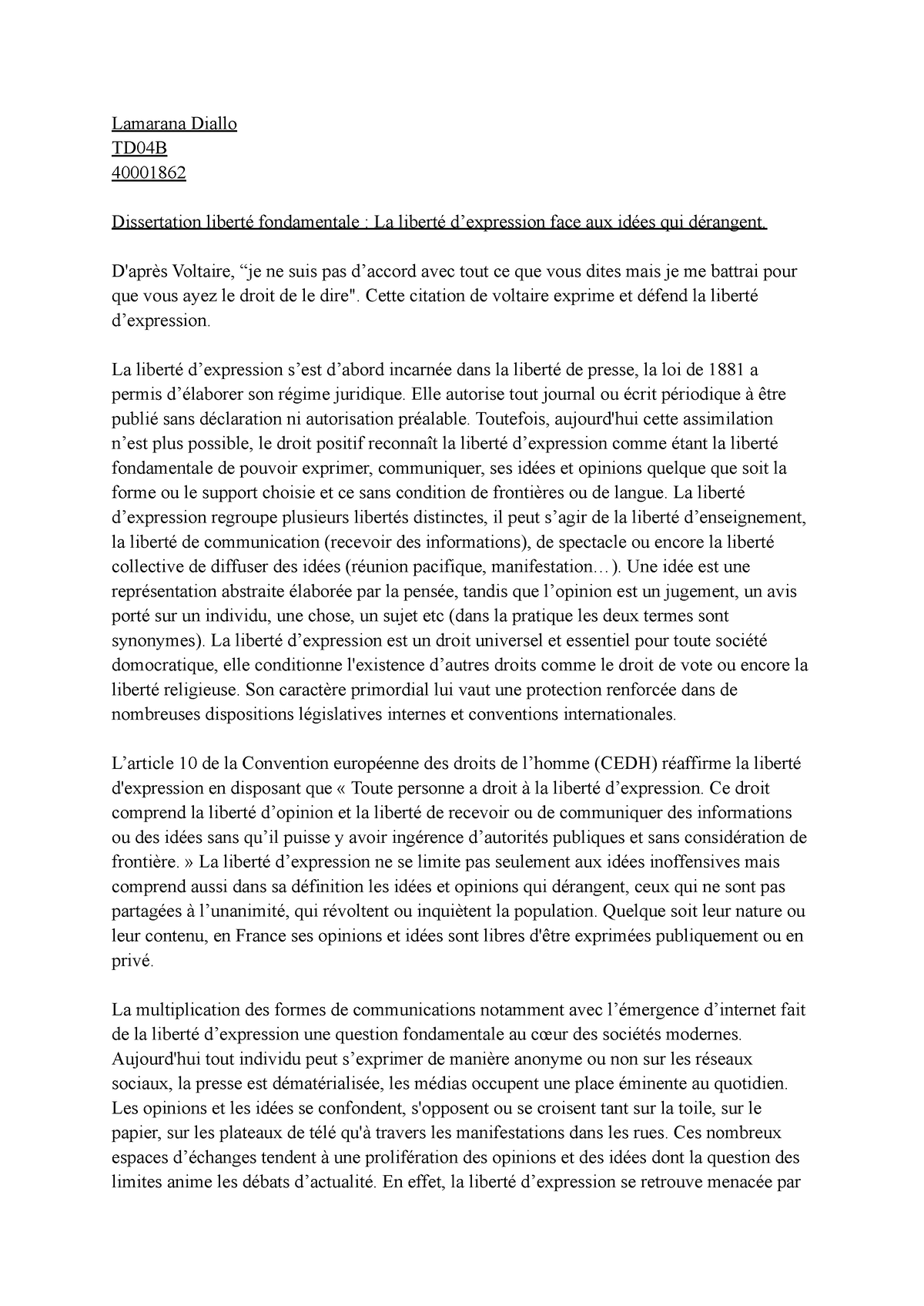 Dissertation Sur La Liberté D'expression Liberté Fondamentale ...