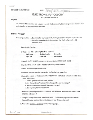 Cell Structure Table - BIOL 1020 - Cell Structure Table Cell Structure ...