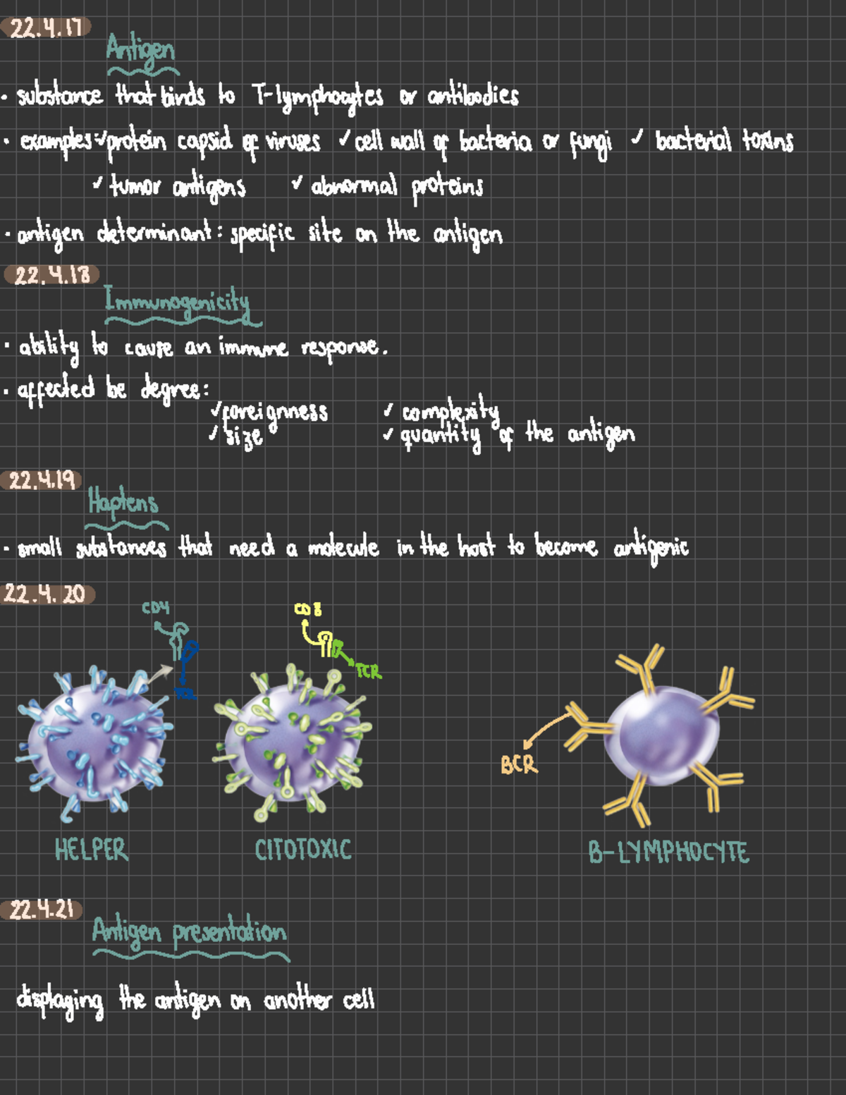 Chapter 22 Immune System Antigen substance that binds to T