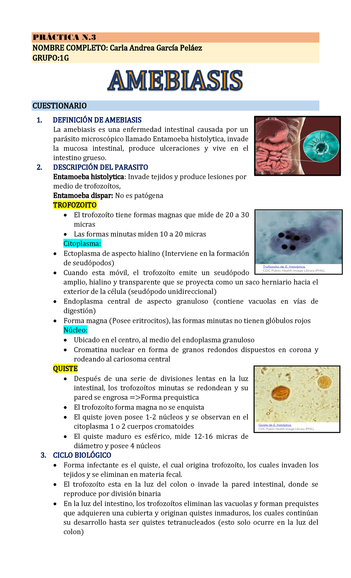 Práctica Nº 3 Amebiasis PrÁctica N Nombre Completo Carla Andrea García Peláez Grupo1g 2234