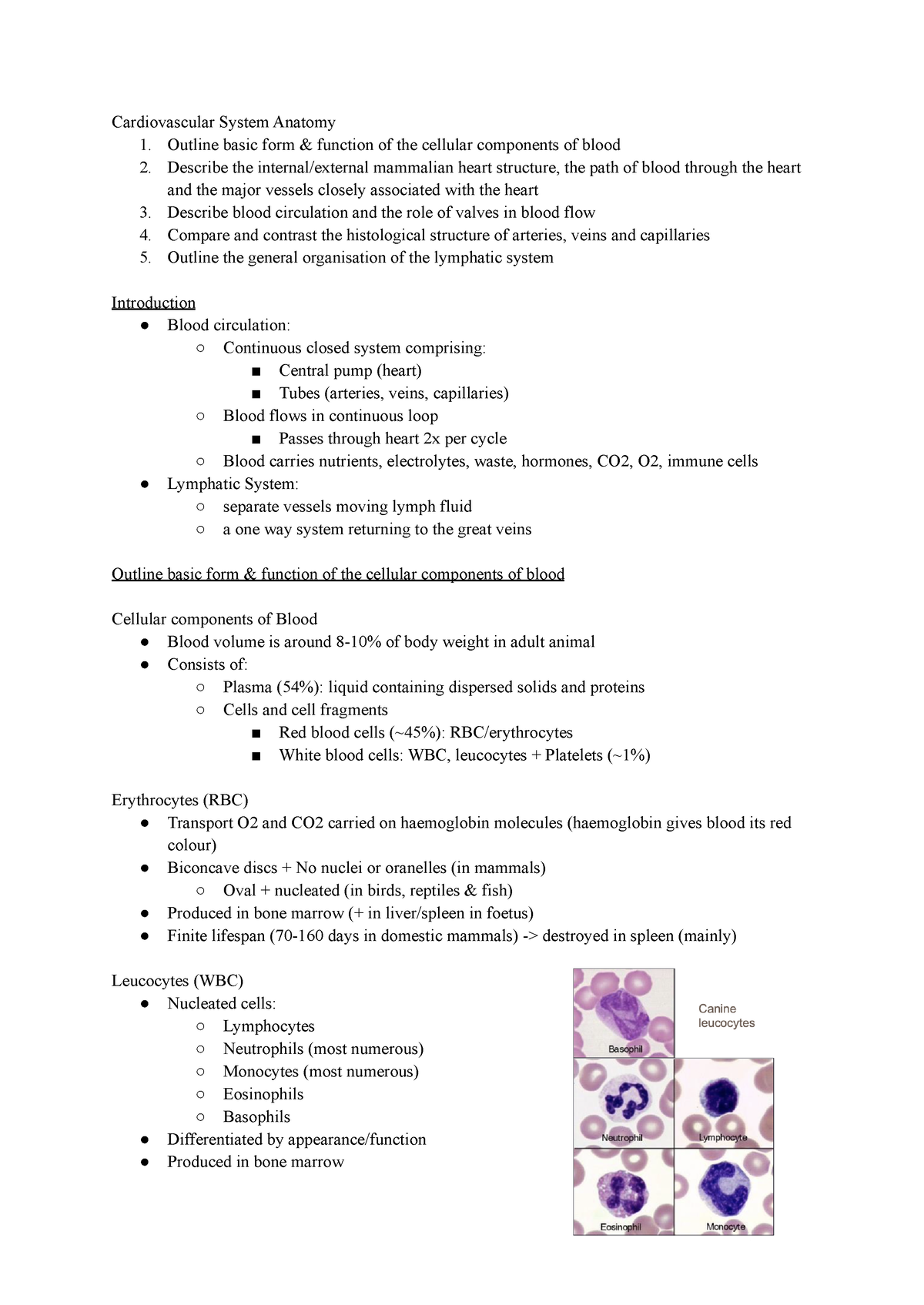 AVBS2007 Cardiovascular & Respiratory System Anatomy - Cardiovascular ...