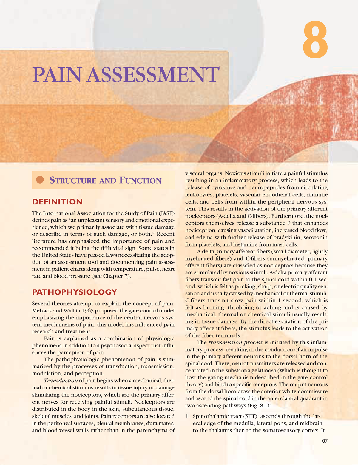 chapter-08-health-assessment-pain-assessment-107-pain-assessment-8